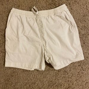 Men’s Chubbies 5.5 inseam shorts